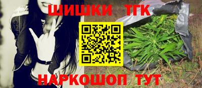 сатива Коммунар