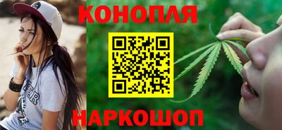 сатива Коммунар