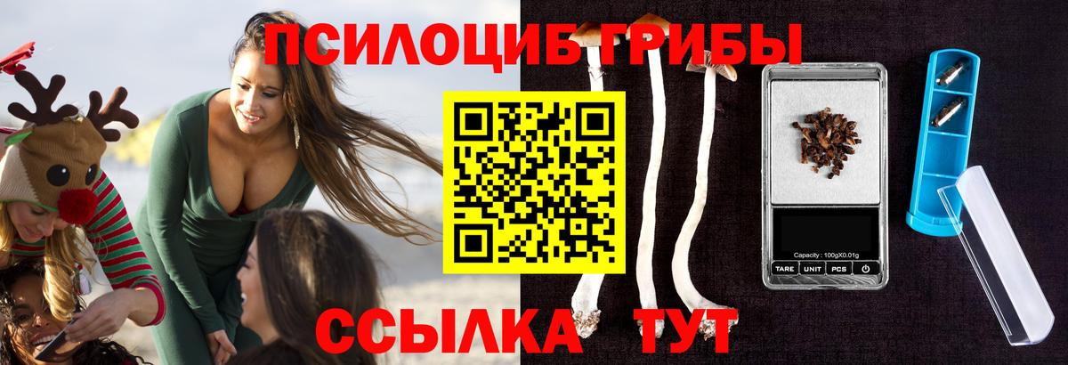 Галлюциногенные грибы MAGIC MUSHROOMS Елец
