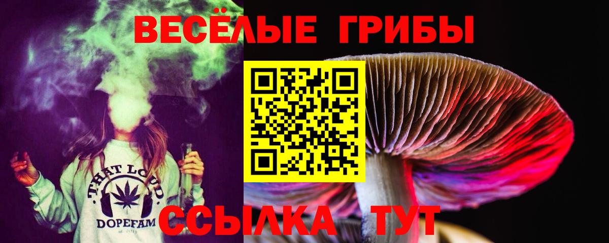 Елец  Псилоцибиновые грибы MAGIC MUSHROOMS  закладки  Вход с VPN 